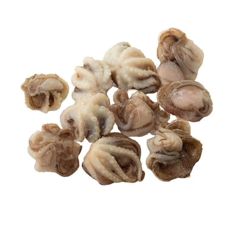 osminog-3