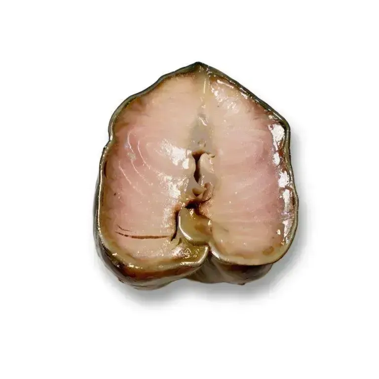 photo_2025-12-08-15.03