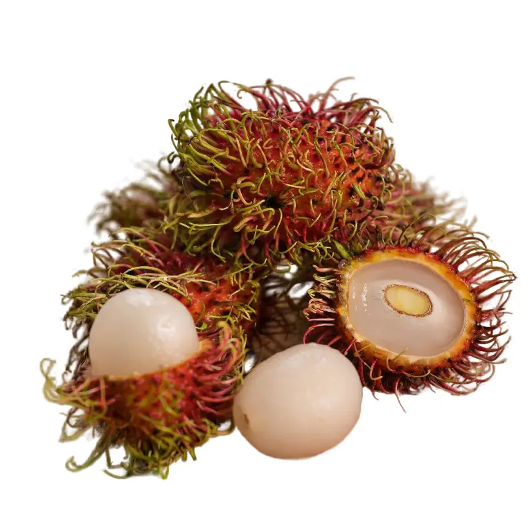 rambutan-4