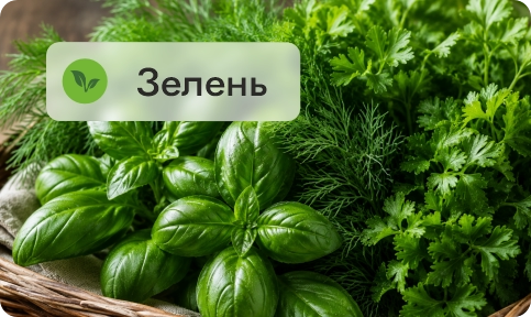 Зелень