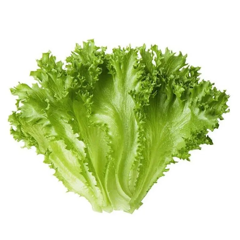 salat-frillis-1sht-fresh
