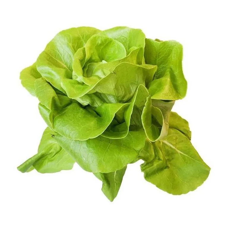 salat-maslyanistyy-1sht-fresh