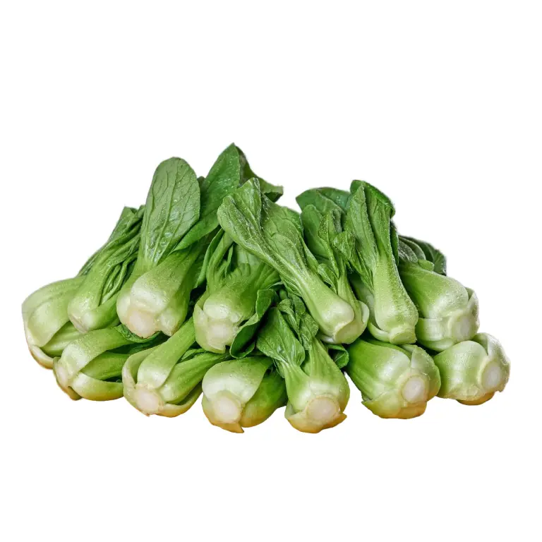 salat-mini-pak-choi-5