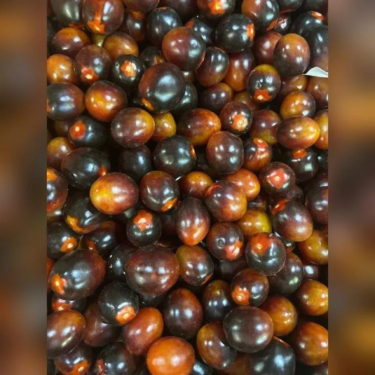 tomaty-cherri-cher_life