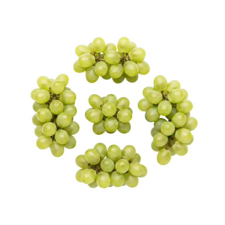 vinograd-kishmish-uzb-1