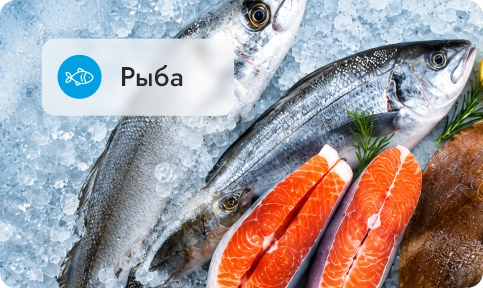 Рыба